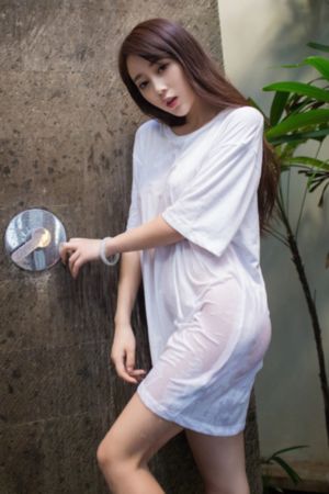 刘老根4电视剧免费观看完整版
